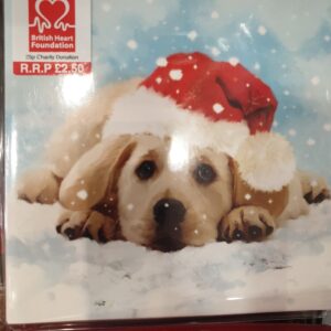 Charity Cards - Dog